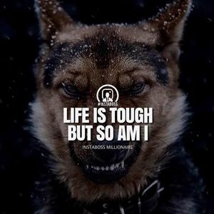 Meet your Posher, Aldana